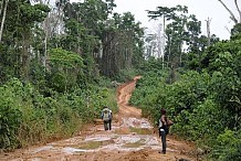 Ressources naturelles mal exploitées en Afrique : Cri du cœur d’un jeune ivoirien !